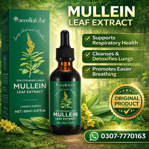 Mullein Leaf Extract in Pakistan